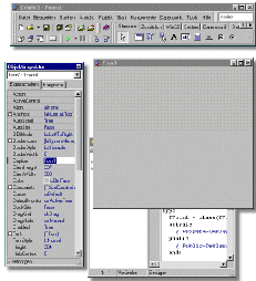 Programmierumgebung